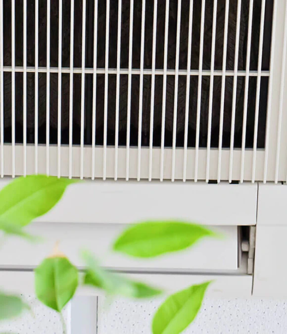 Professional Indoor Air Quality Services